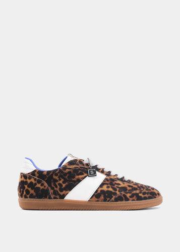 Sydney-Leopard